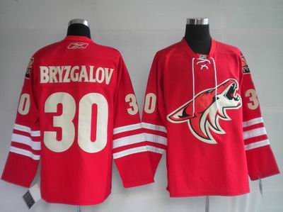 Ilya Bryzgalov 30 Phoenix Coyotes Red Hockey Jerseys