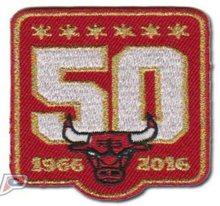 Chicago Bulls 50th Anniversary Season Logo Red Jersey