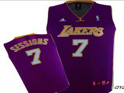 Los Angeles Lakers 7 Ramon Sessions Purple Jersey