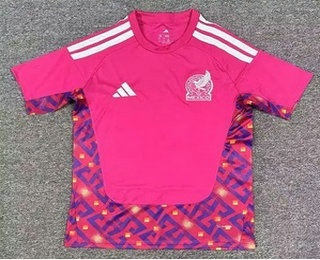 Mens Mexico National Team Blank Pink 2026 World Cup Soccer Goalkeeper Jersey Kit
