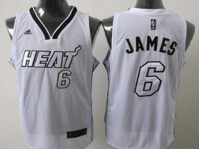 Miami Heats 6 James White With Silvery Jersey